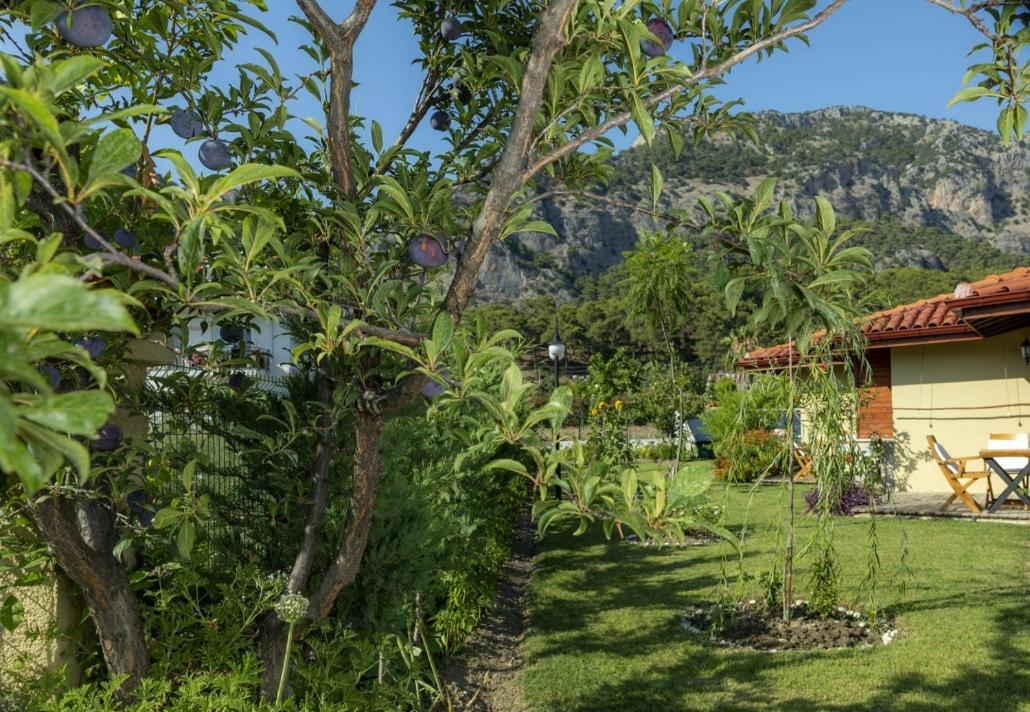 Sandal Hotel Gocek Eksteriør bilde
